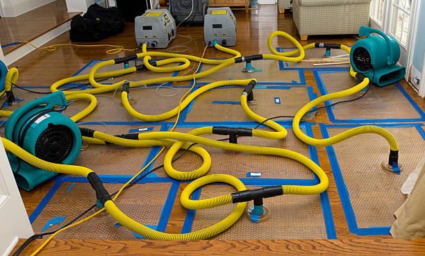 Professional Flood Damage Restoration technician working in Plain City, UT